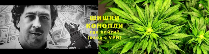 Бошки марихуана THC 21%  Тетюши 